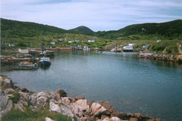 494: Red Island harbour looking west. (circa 2000) [courtesy of Madonna (Bishop) Mulrooney]
